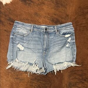 Eunina Blue Distressed Jean Shorts with Frayed Hem